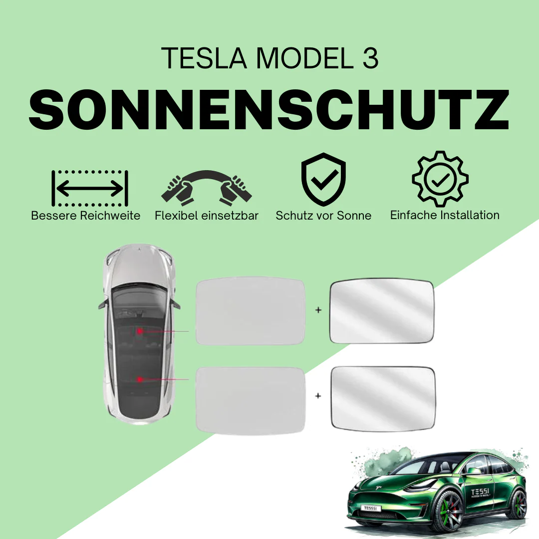 Model 3 Sonnenschutz & Sonnenblende (Hellgrau) - Image 3